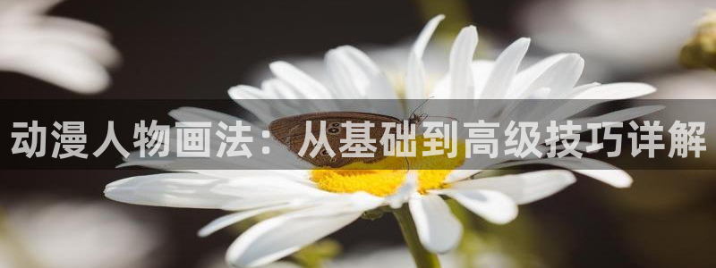 动漫omofun下载