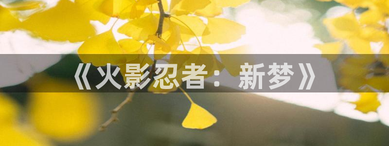 omofun正版官方：《火影忍者：新梦》