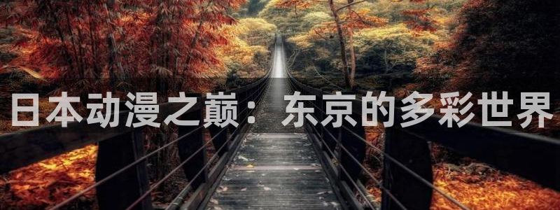 omofun动漫官网在线看：日本动漫之巅：东京的多彩世界