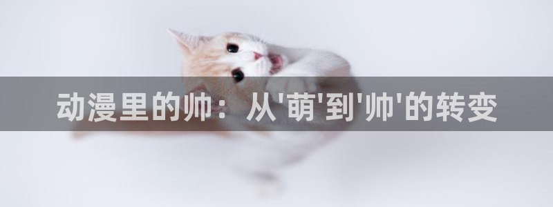 age动漫omofun：动漫里的帅：从\'萌\'到\'帅\'的转变