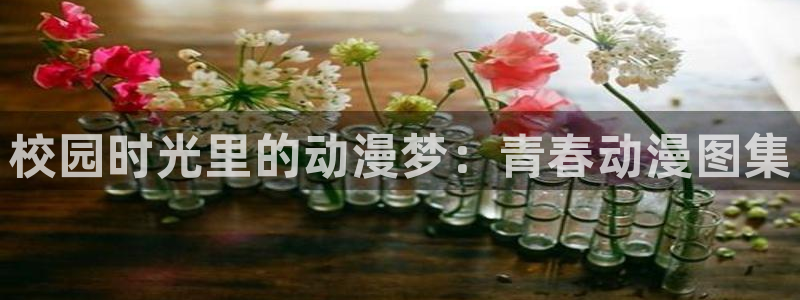 omofun官方版下载：校园时光里的动漫梦：青春动漫图集