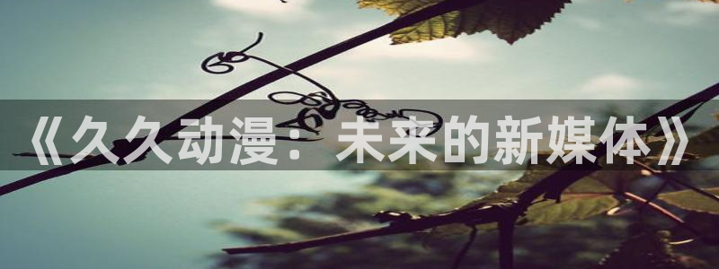omofun电脑端：《久久动漫：未来的新媒体》