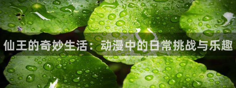 omofun怎么下载：仙王的奇妙生活：动漫中的日常挑战与乐趣