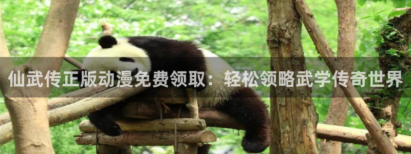 omofun动漫免费观看官网：仙武传正版动漫免费领取：轻松领略武学传奇世界
