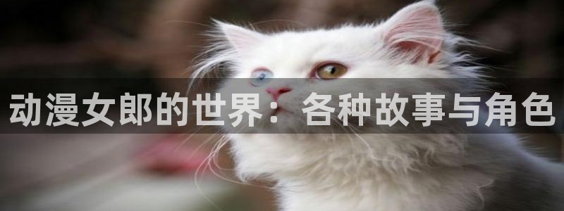 动漫共和国(omofun)：动漫女郎的世界：各种故事与角色
