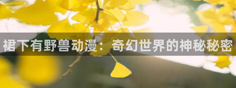 omofun 宕卧略：裙下有野兽动漫：奇幻世界的神秘秘密