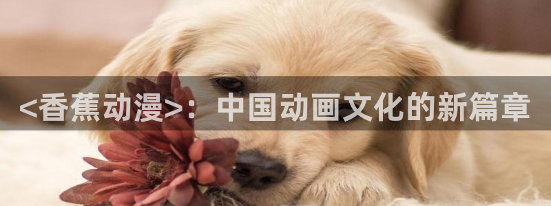 omofun动漫软件下载免费版：<香蕉动漫>：中国动画文化的新篇章