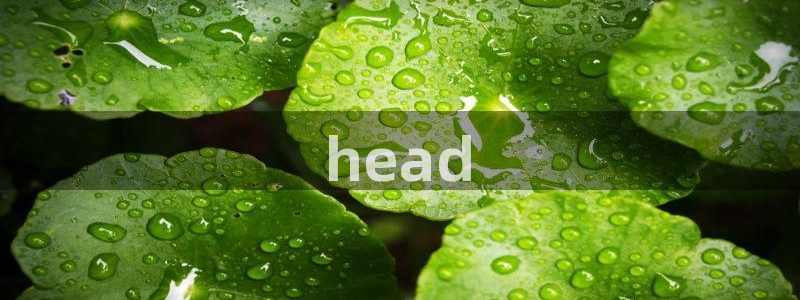 omofun旧版本：head