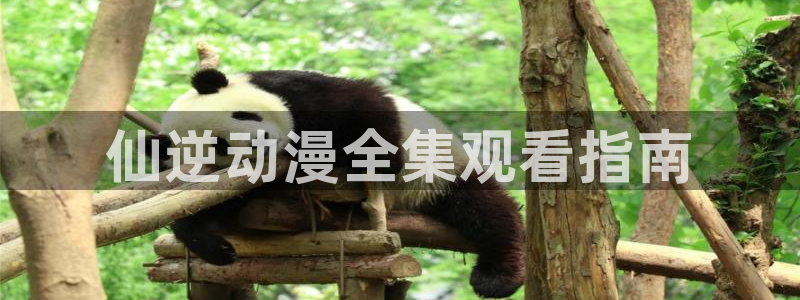 omofun链接：仙逆动漫全集观看指南