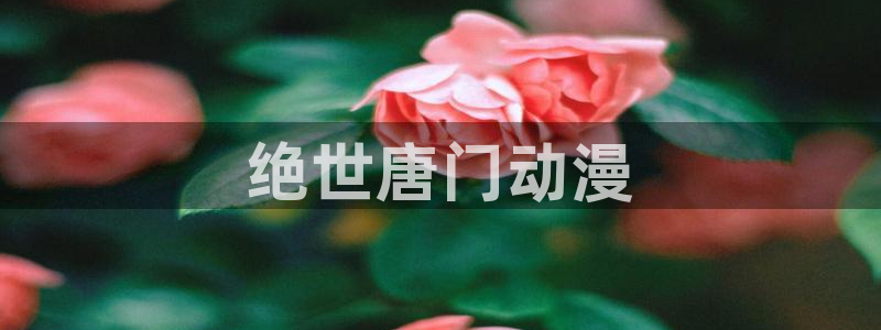 omofun动画网：绝世唐门动漫