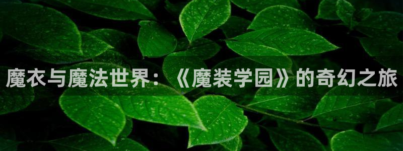 omofun动漫在线观看：魔衣与魔法世界：《魔装学园》的奇幻之旅