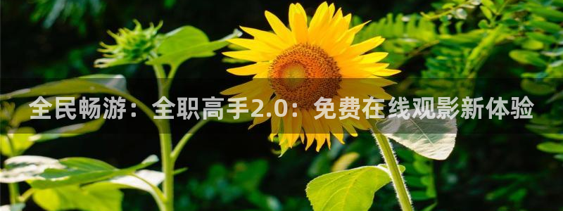 omofun官方下载入口：全民畅游：全职高手2.0：免费在线观影新体验