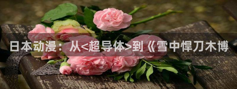 omofun宕卧：日本动漫：从<超导体>到《雪中悍刀木博