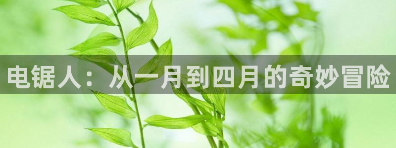 omofun.con：电锯人：从一月到四月的奇妙冒险