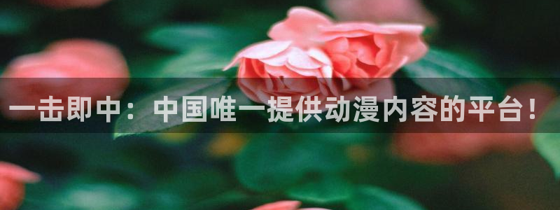 omofun免费看动漫：一击即中：中国唯一提供动漫内容的平台！