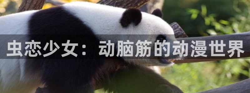 omofun动漫动漫：虫恋少女：动脑筋的动漫世界