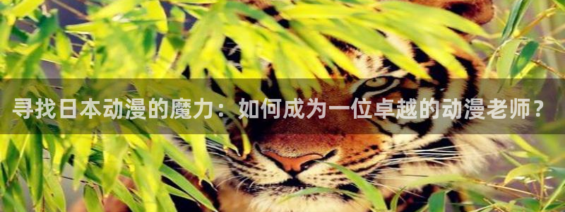 omofunpc：寻找日本动漫的魔力：如何成为一位卓越的动漫老师？