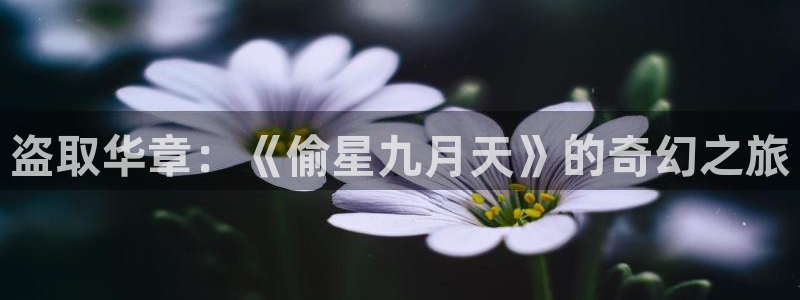 omofun官网网页版免费进入：盗取华章：《偷星九月天》的奇幻之旅