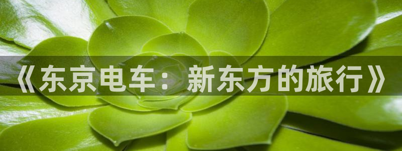 omofun宕卧：《东京电车：新东方的旅行》