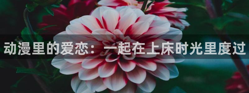 omofun官网最新版下载：动漫里的爱恋：一起在上床时光里度过
