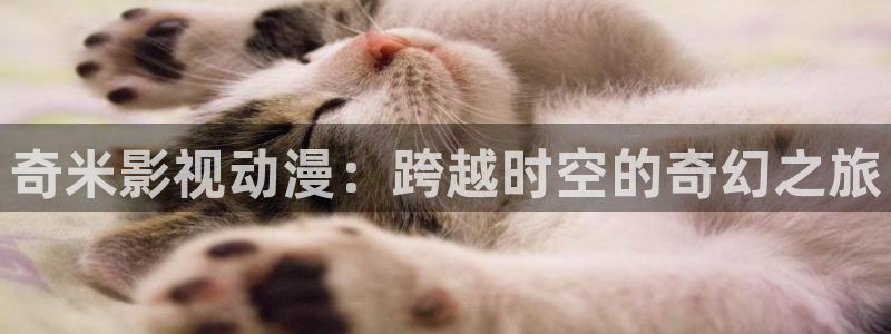 omofun动漫怎么下载：奇米影视动漫：跨越时空的奇幻之旅