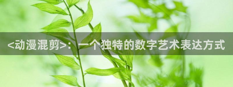 omofun下载官方正版网站：<动漫混剪>：一个独特的数字艺术表达方式