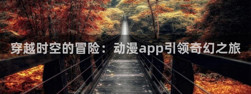 omofun纯净版2024：穿越时空的冒险：动漫app引领奇幻之旅