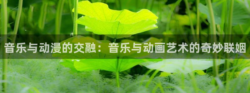 omofun动漫网页版：音乐与动漫的交融：音乐与动画艺术的奇妙联姻
