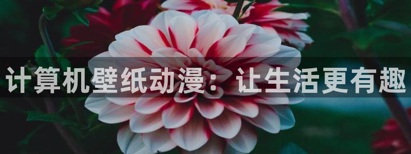 omofun动漫在线观看动漫最新版本更新：计算机壁纸动漫：让生活更有趣