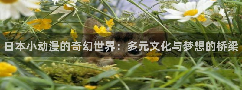 omofun 动漫在线观看：日本小动漫的奇幻世界：多元文化与梦想的桥梁