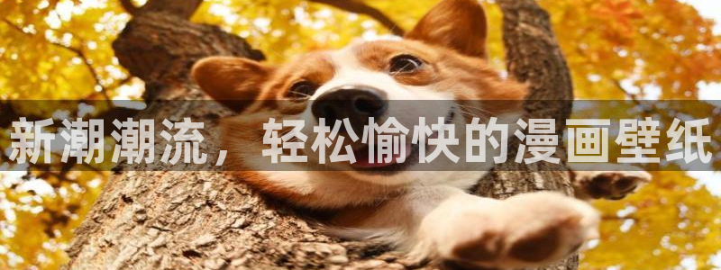 omofun在线：新潮潮流，轻松愉快的漫画壁纸