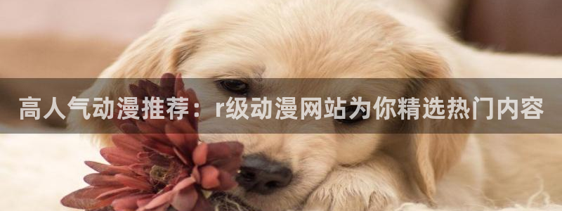 omofun动漫官方下载app