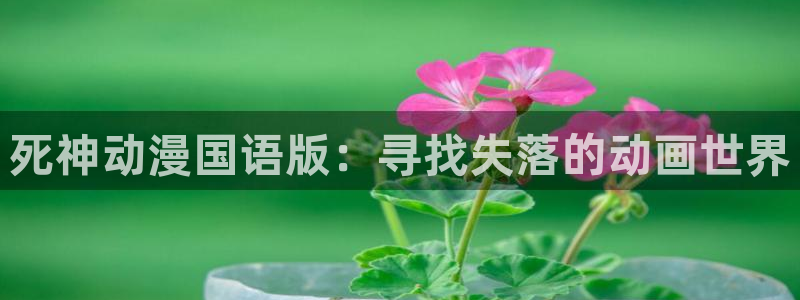 omofun.onl：死神动漫国语版：寻找失落的动画世界