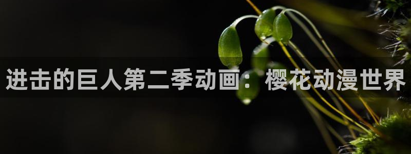 omofun官网网站：进击的巨人第二季动画：樱花动漫世界