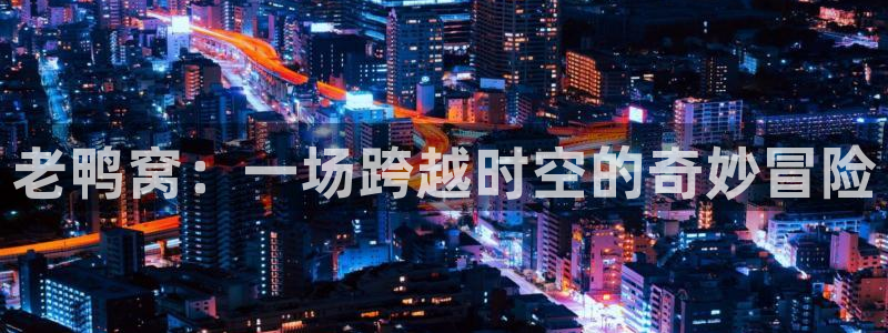 动漫共和国omofun下载：老鸭窝：一场跨越时空的奇妙冒险