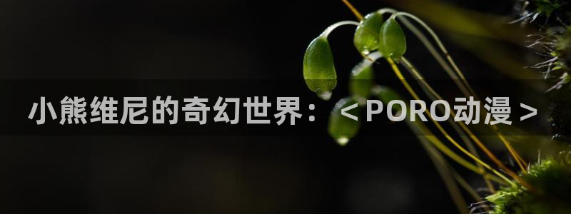 omofuns：小熊维尼的奇幻世界：＜PORO动漫＞